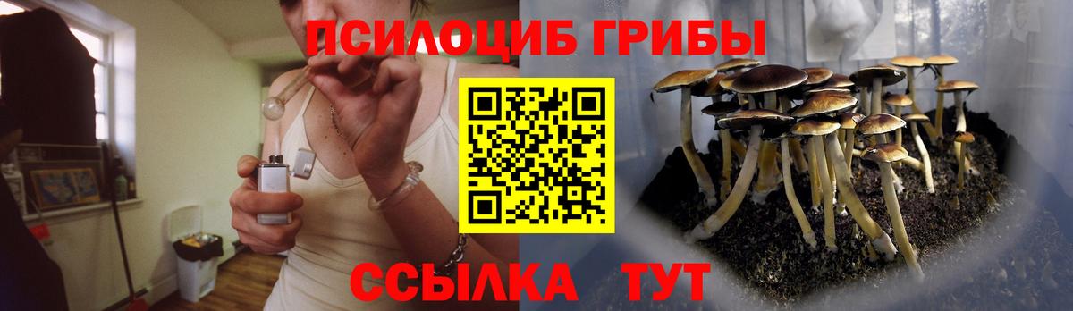 Галлюциногенные грибы Psilocybine cubensis  Вход с VPN  Псилоцибиновые грибы Psilocybe  Орёл 